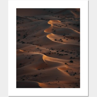 Sahara Desert Posters and Art